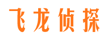 舞阳寻人公司